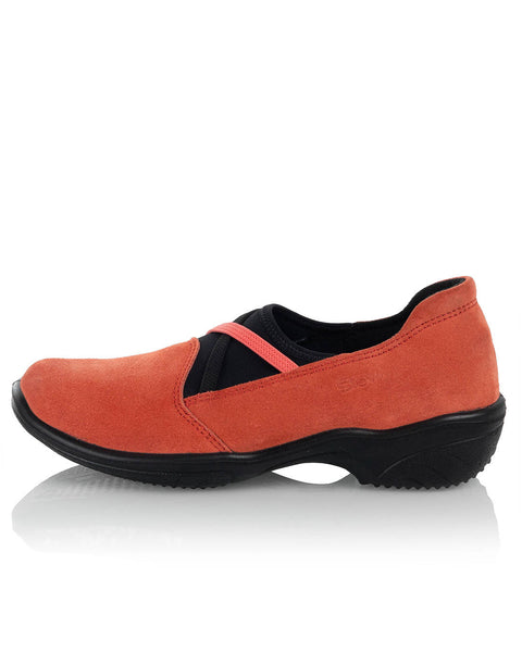 Sievi Auri aprikoosi - Image 1