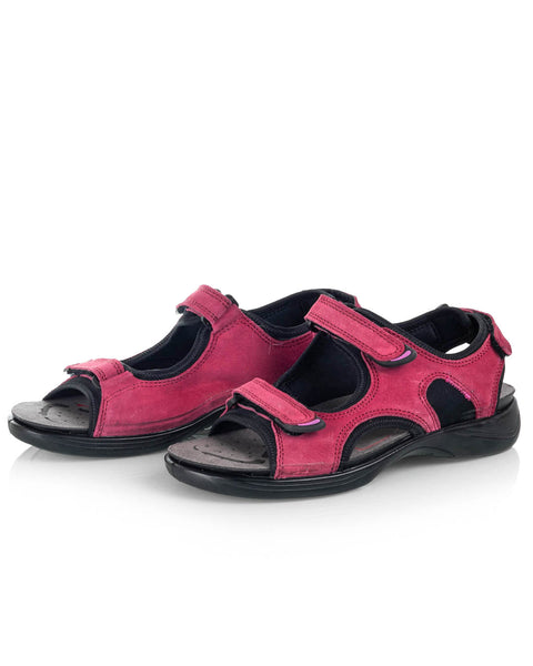 Sievi Helle vadelma - Image 3