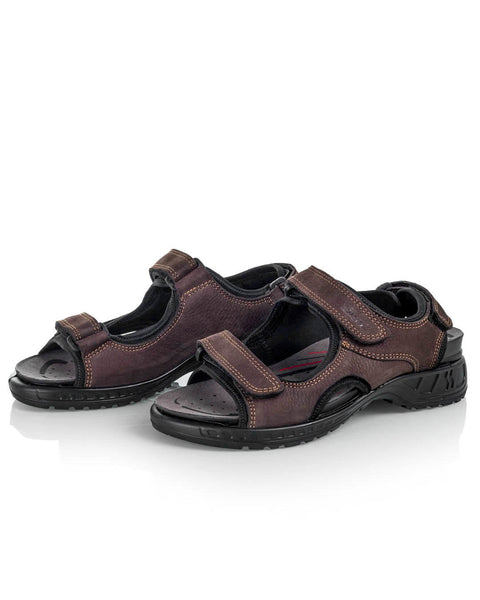 Sievi Hannu ruskea - Image 3